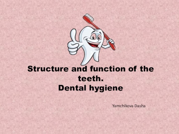 Structure and function of the teeth.Dental hygieneYamchikova Dasha