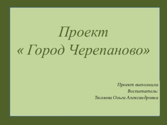 Проект  Город Черепаново