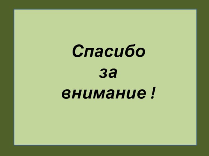 Спасибо  за  внимание !