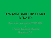 Презентация по биологии на тему Правила заделки семян 11 класс