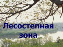 Презентация Лесостепная зона 11 класс