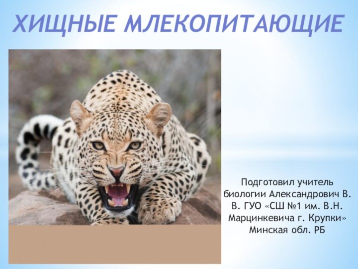 Подготовил учитель биологии Александрович В.В. ГУО «СШ №1 им. В.Н. Марцинкевича г.