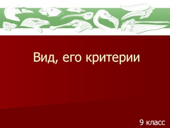 Презентация по биологии на тему Вид. Критерии вида (9 класс)