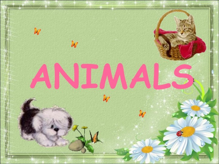 ANIMALS