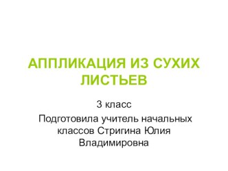 Практическая работа по изготовлению аппликации из сухих листьев.