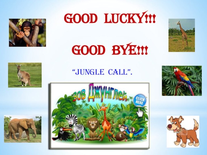 Good Lucky!!!  Good Bye!!!“Jungle Call”.