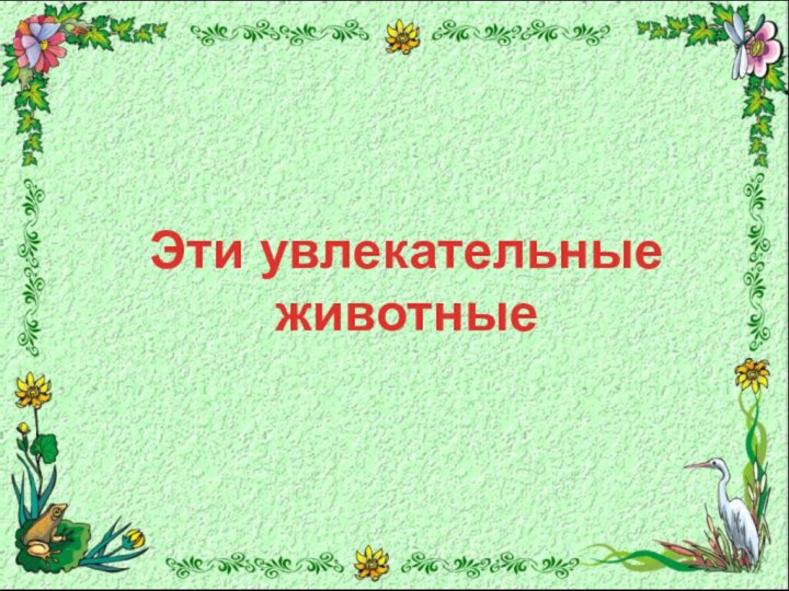 Эти увлекательные животные