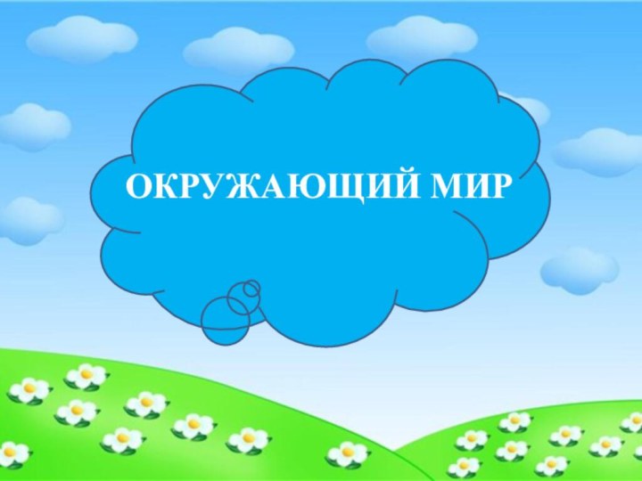 ОКРУЖАЮЩИЙ МИР