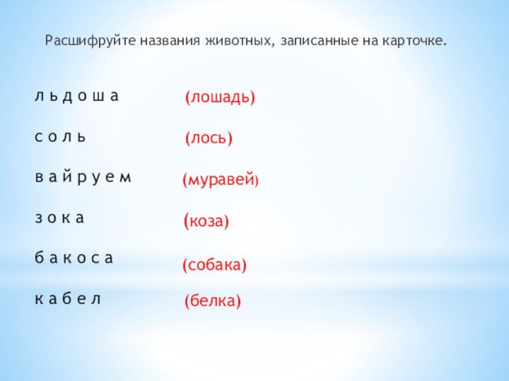 Расшифруйте названия животных, записанные на карточке. л ь д о ш а  с