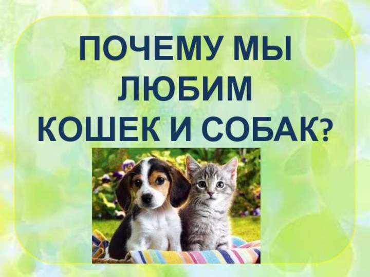 Почему мы любим кошек и собак?