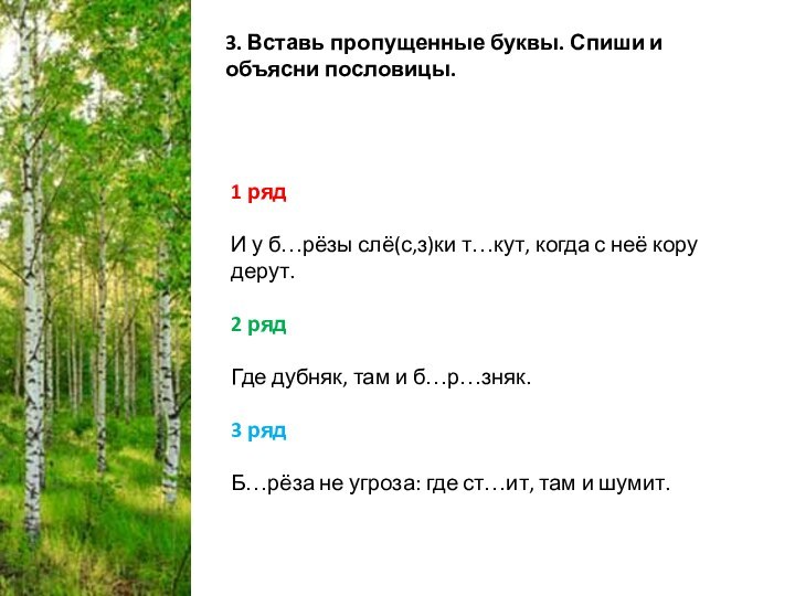 3. Вставь пропущенные буквы. Спиши и объясни пословицы.1 рядИ у б…рёзы слё(с,з)ки