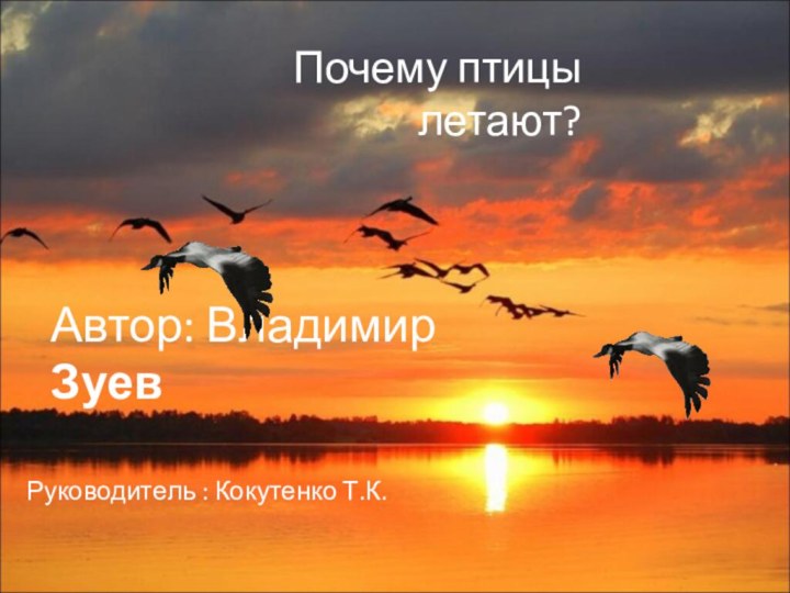 Почему птицы летают?Автор: Владимир ЗуевРуководитель : Кокутенко Т.К.