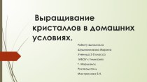 Детский проект: Выращивание кристаллов в домаших условиях