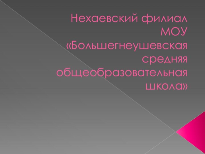 Нехаевский филиал  МОУ «Большегнеушевская средняя общеобразовательная школа»