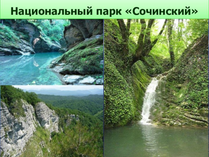 Национальный парк «Сочинский»