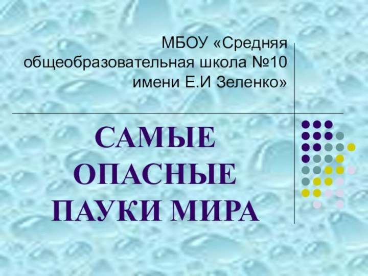 САМЫЕ ОПАСНЫЕ ПАУКИ МИРАМБОУ «Средняя общеобразовательная школа №10 имени Е.И Зеленко»