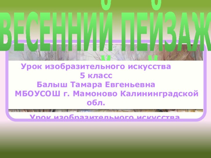 ВЕСЕННИЙ ПЕЙЗАЖУрок изобразительного искусства 5 классБалыш Тамара Евгеньевна   	МБОУСОШ г.