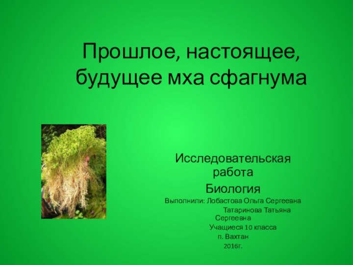 Прошлое, настоящее, будущее мха сфагнумаИсследовательская работаБиологияВыполнили: Лобастова Ольга Сергеевна