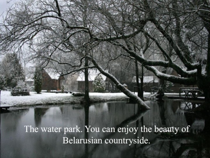 The water park. You can enjoy the beauty of Belarusian countryside.