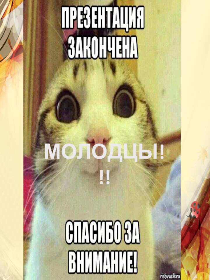    МОЛОДЦЫ!!!