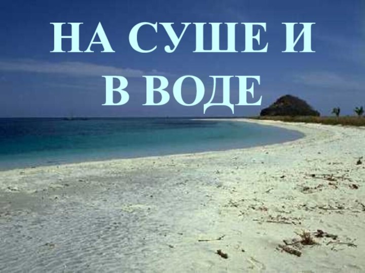 НА СУШЕ И В ВОДЕ