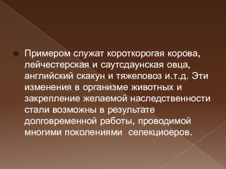 Примером служат короткорогая корова, лейчестерская и саутсдаунская овца, английский скакун и тяжеловоз