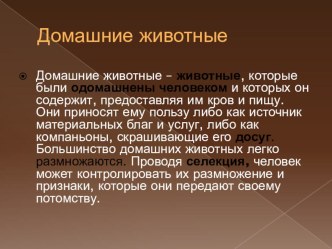 Презентация к уроку Домашние животные