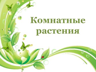 Презентация по развитию речи Комнатные растения (3 класс)