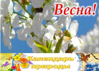 Презентация Календарь погоды - весна