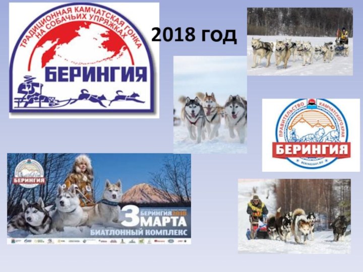 2018 год