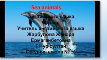 Презентация по английскому языку на тему Sea animals