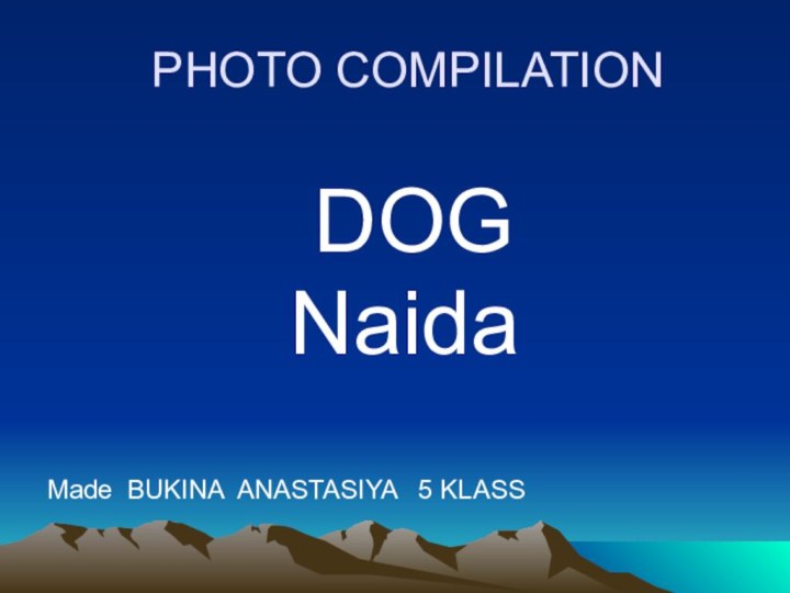 PHOTO COMPILATION      DOG