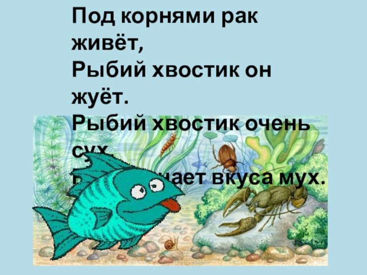 Под корнями рак живёт,Рыбий хвостик он жуёт.Рыбий хвостик очень сух,Рак не знает вкуса мух.