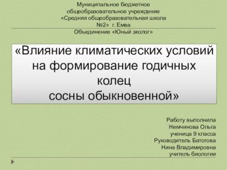 Влияние климатических условий на формирование годичных колец сосны обыкновенной