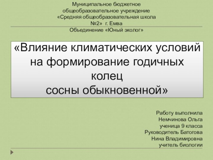 «Влияние климатических условий на формирование годичных колец  сосны обыкновенной»Муниципальное бюджетное общеобразовательное