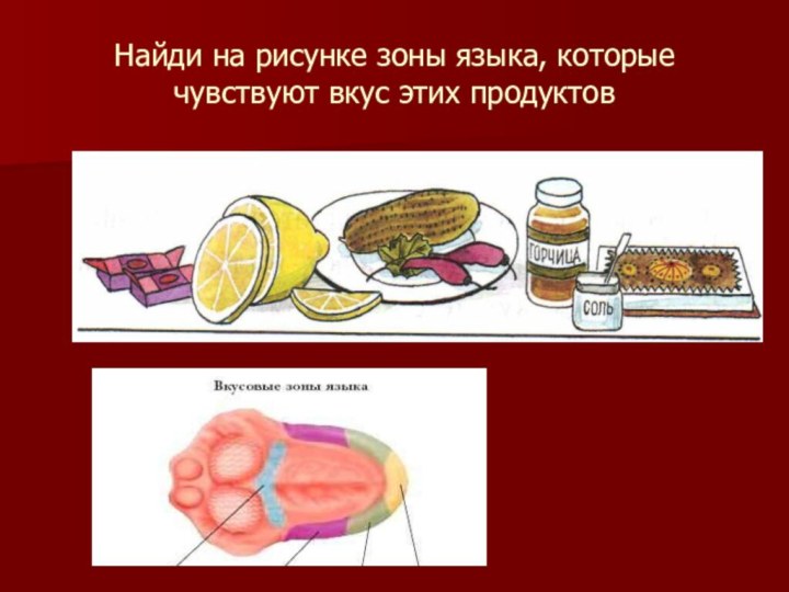 Найди на рисунке зоны языка, которые чувствуют вкус этих продуктов