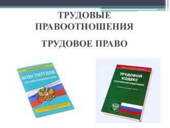 Презентация по предмету Правовое обеспечение профессиональной деятельности на тему: Трудовое право.