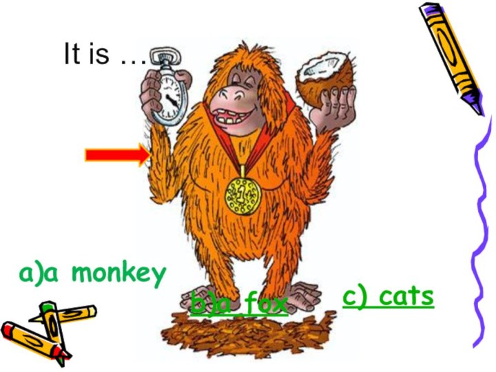 It is … .a)a monkeyb)a foxc) cats