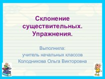 Презентация Склонение существительных. Упражнение