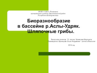 Презентация к учебной исследовательской работе Биоразнообразие в бассейне реки Аслы-Удряк. Шляпочные грибы.