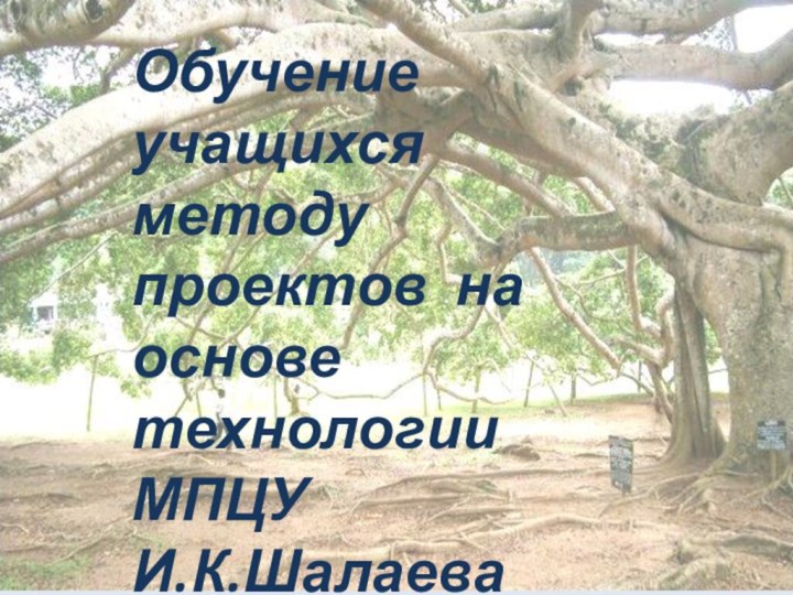 Обучение учащихся методу проектов на основе технологии МПЦУИ.К.ШалаеваКаптелова Н.В., учитель физики МОУ «Гимназия №79» г.Барнаула