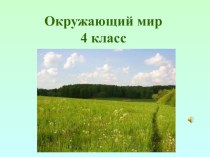 Презентация по окружающему миру Луг 4 класс