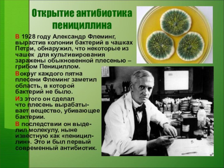 В 1928 году Александр Флеминг, вырастив колонии бактерий в чашках Петри, обнаружил,