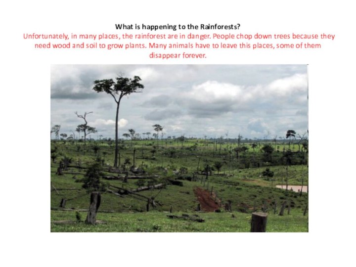 What is happening to the Rainforests? Unfortunately, in many places, the rainforest