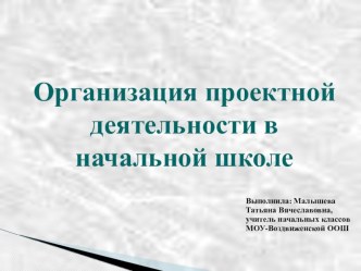 Организация проектной деятельности в начальной школе.