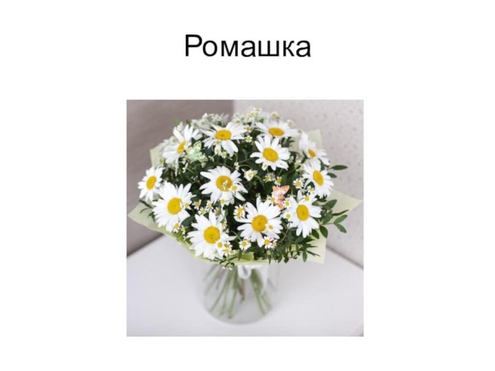 Ромашка