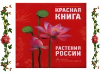 Презентация по окружающему миру Красная книга. Растения России