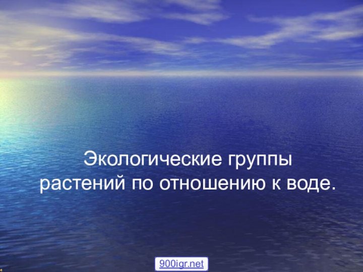 Экологические группы растений по отношению к воде.