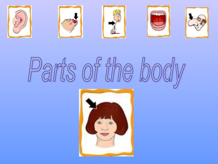 Parts of the body