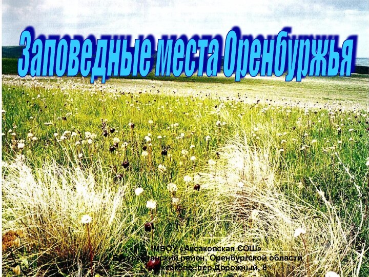 МБОУ «Аксаковская СОШ»Бугурусланский район, Оренбургской областис.Аксаково, пер.Дорожный, 8Заповедные места Оренбуржья